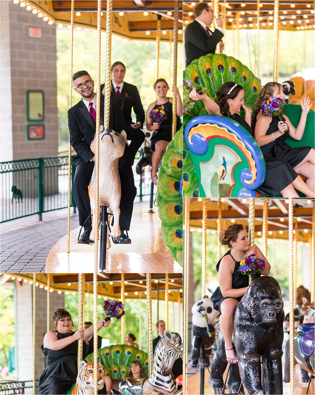 brookefield zoo wedding photography il