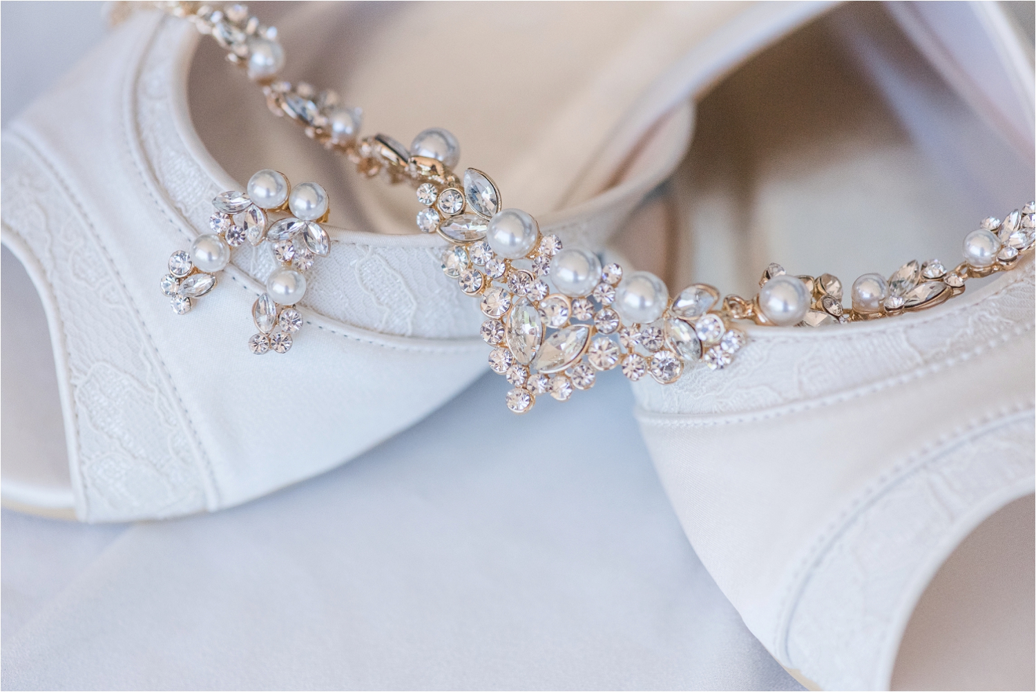 Jewish Black Tie Brookfield Zoo Wedding