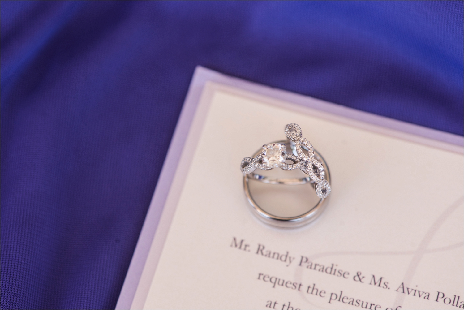 Jewish Black Tie Brookfield Zoo Wedding