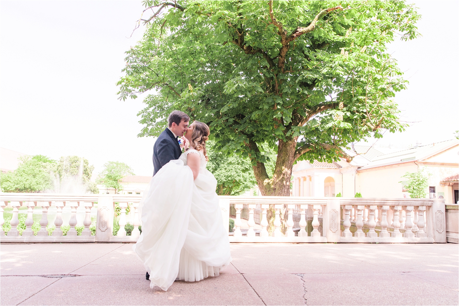 Jewish Black Tie Zoo Wedding Brookfield Il Mindy Leigh